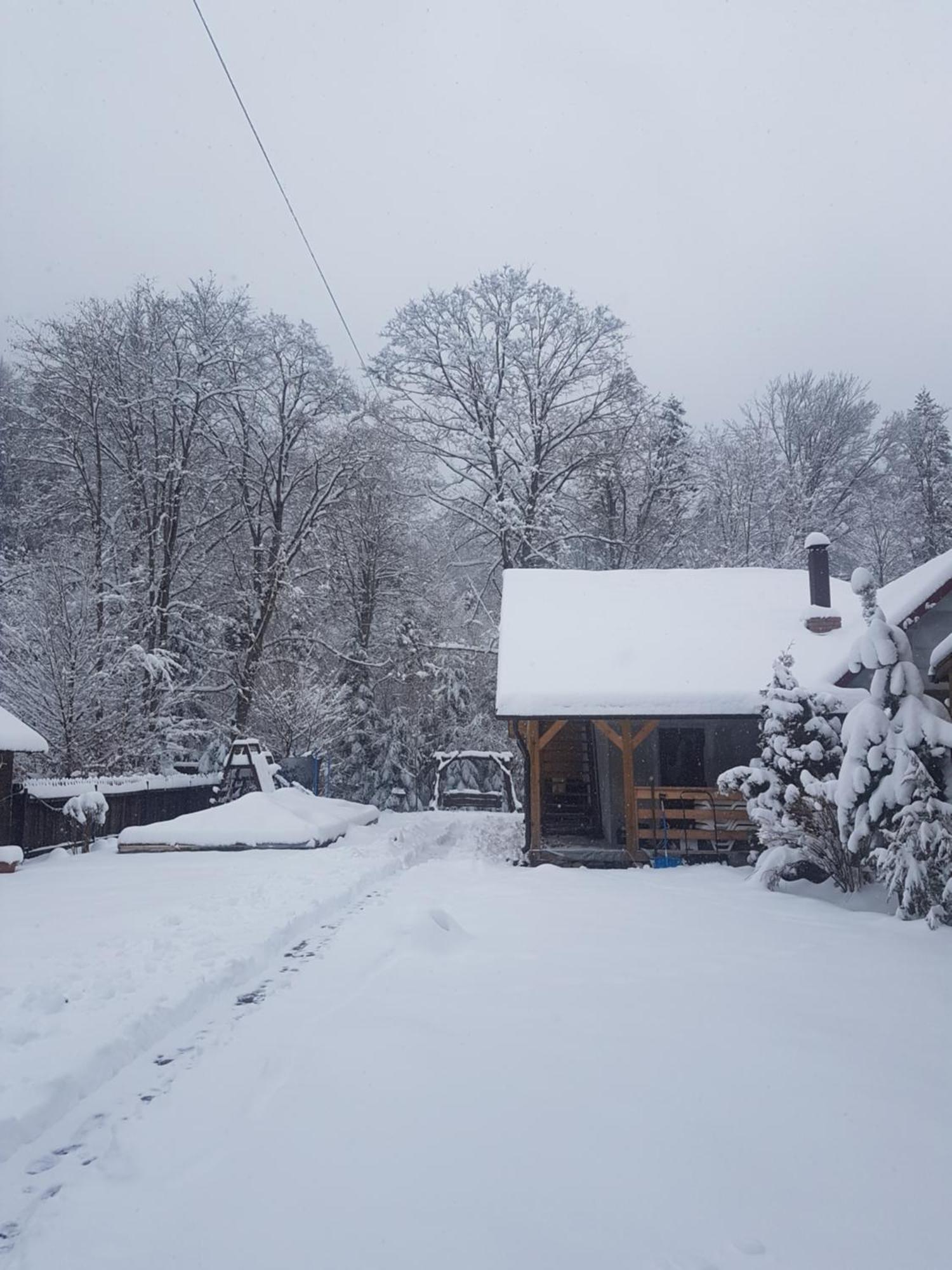 Шале "Тиша" Myhove Quarto foto
